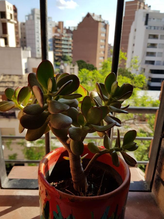 Apartamento Carlucci قرطبة المظهر الخارجي الصورة